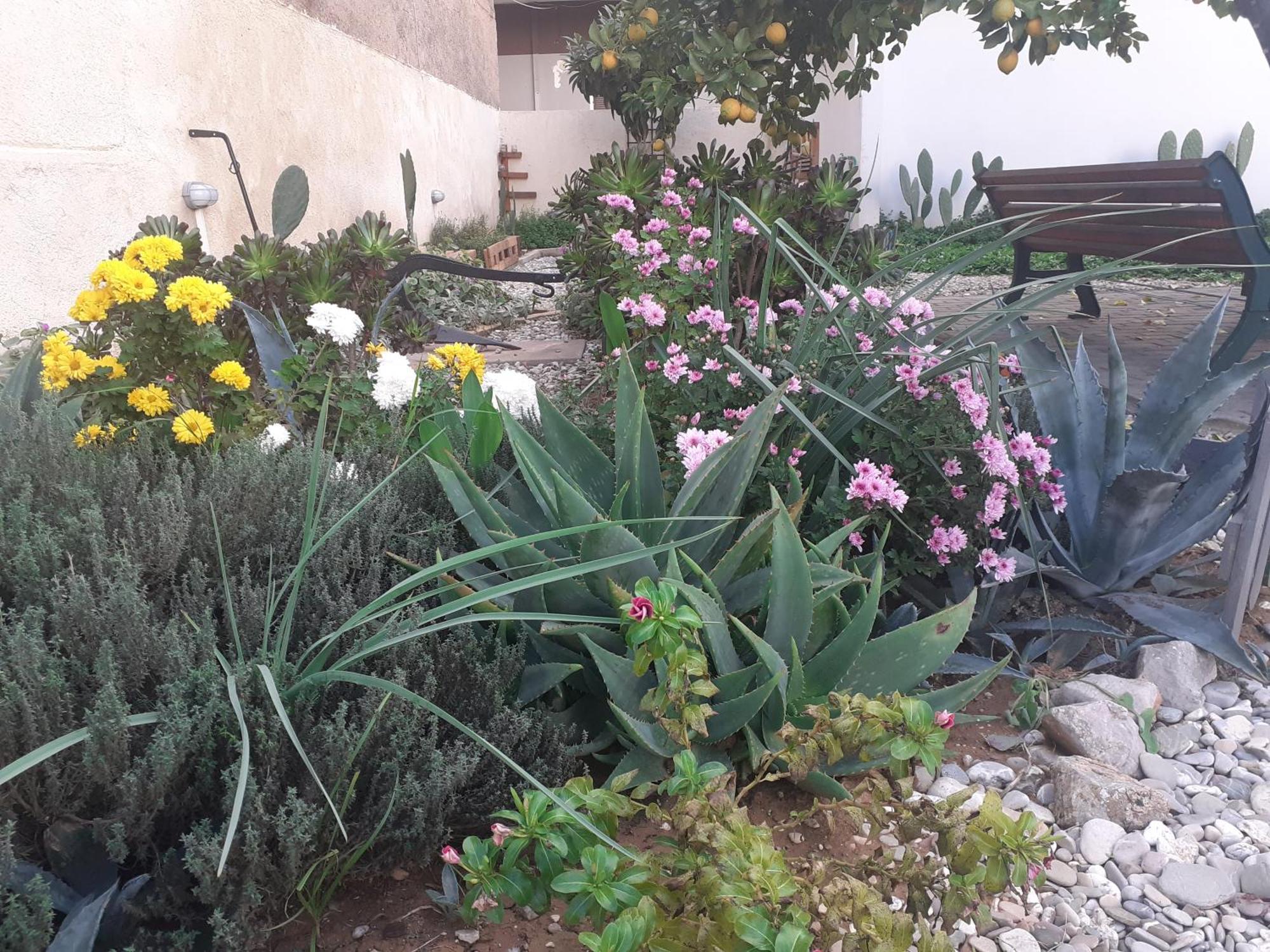 Michael'S Greek House Vila Argos Exterior foto